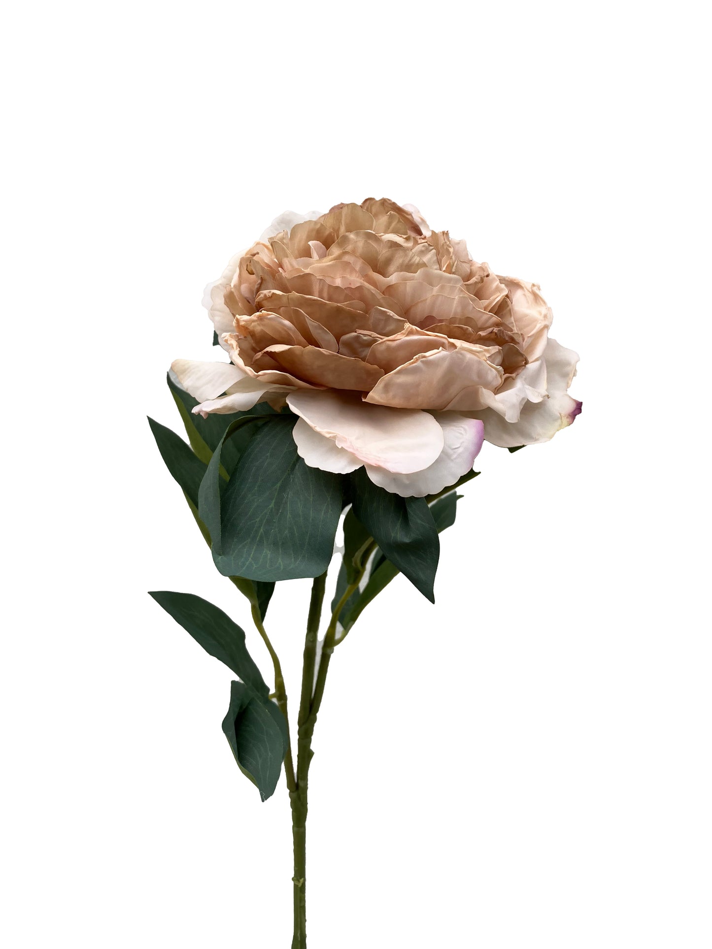 Artificial Peony Large Latte