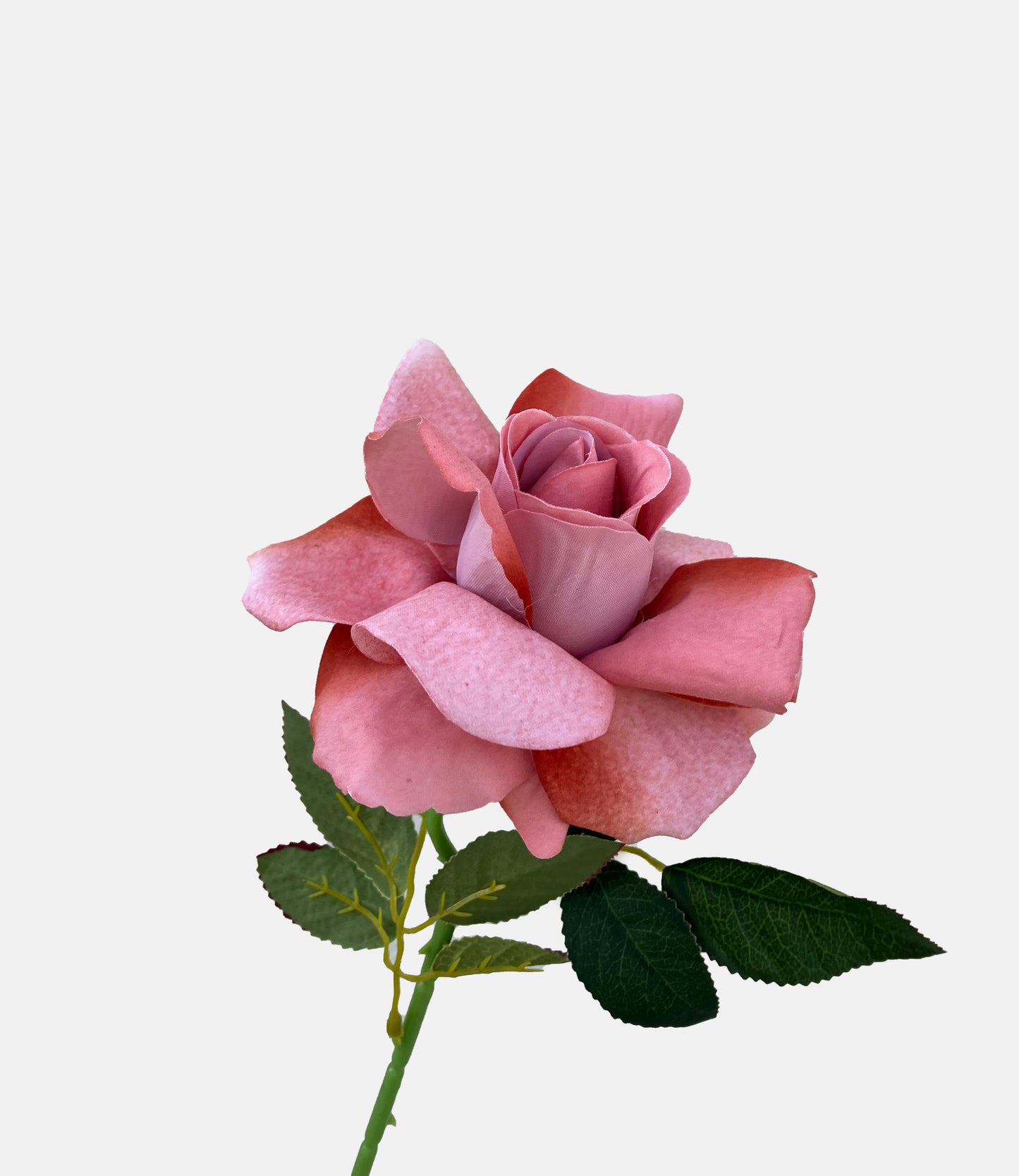 La clásica rosa artificial rosa polvoriento