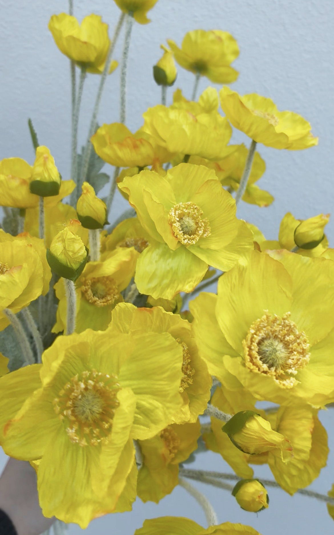 Charisme du coquelicot artificiel