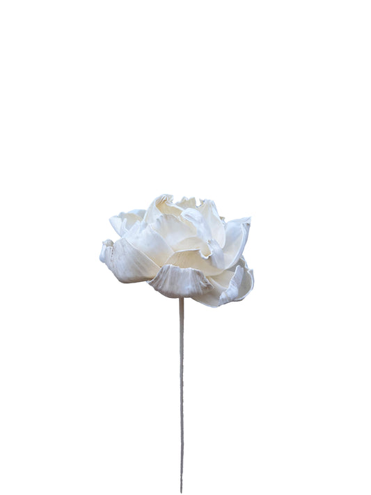 Sola Flower Peony