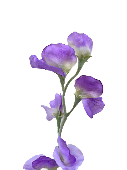 Guisante de olor artificial morado