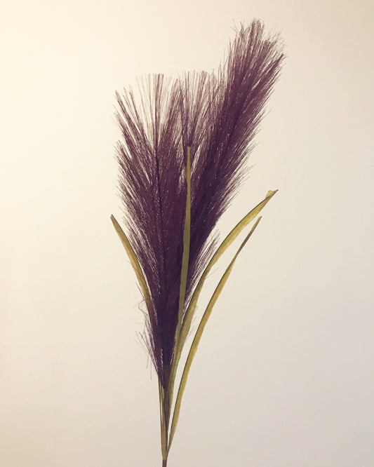 Pampa-Ciruela