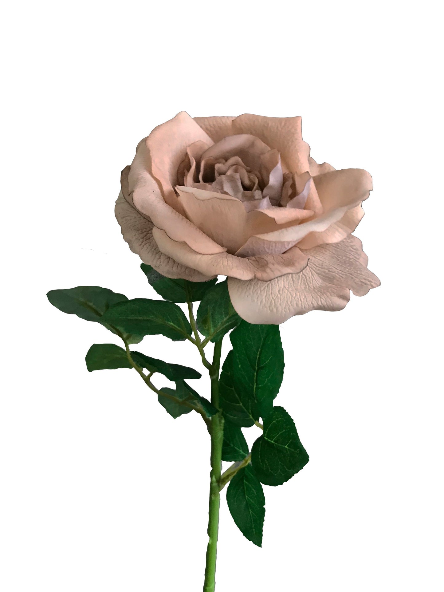 Artificial Real Touch Cabbage Rose Coffee