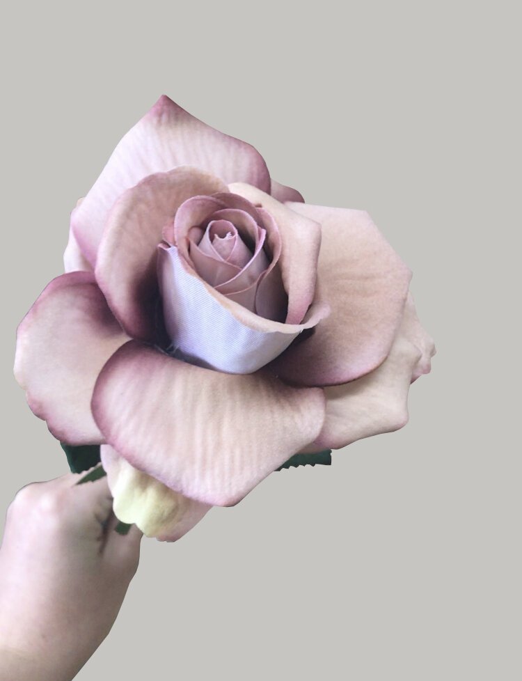 fake nude roses
