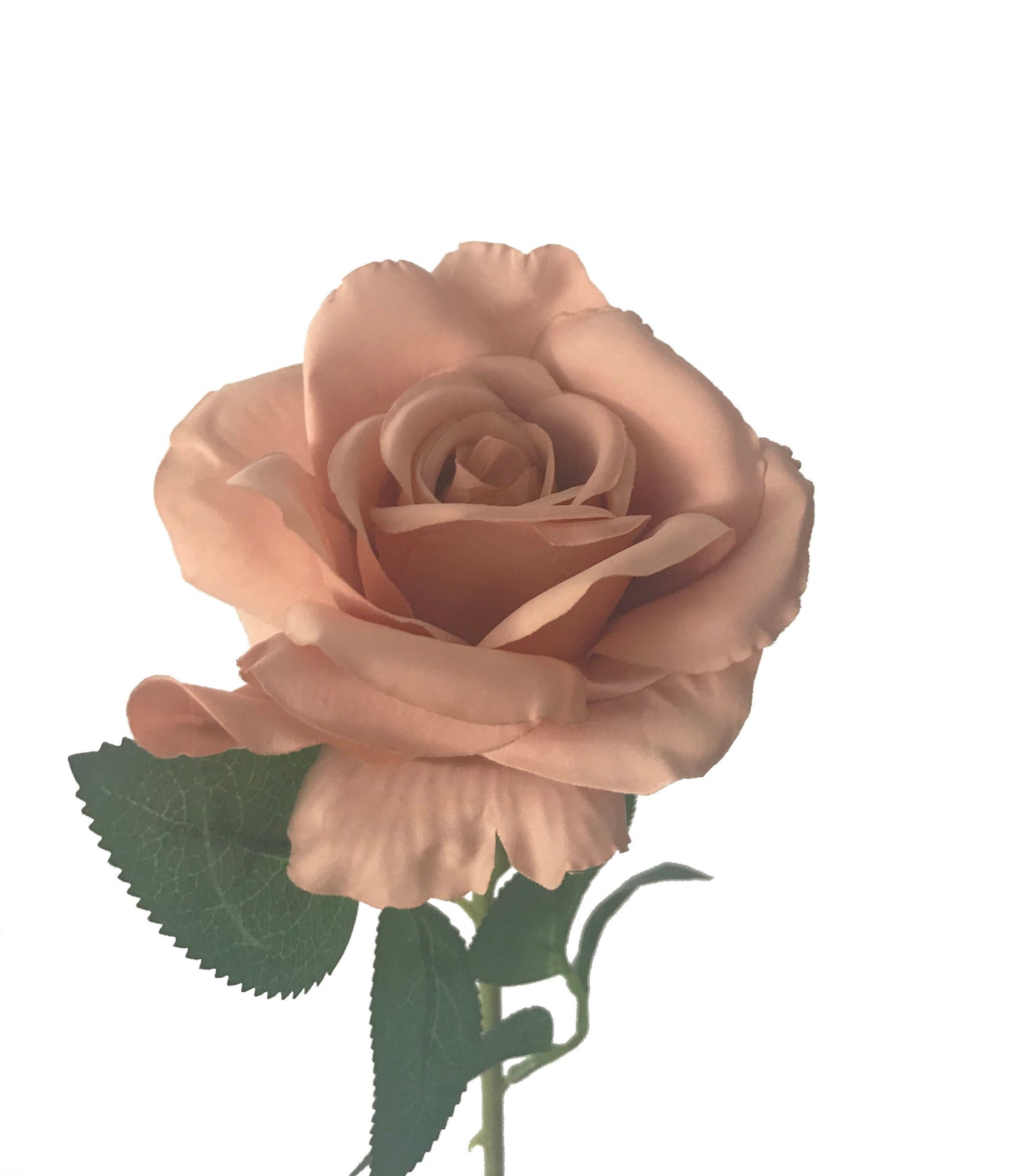 Artificial Rose Silk Toffee