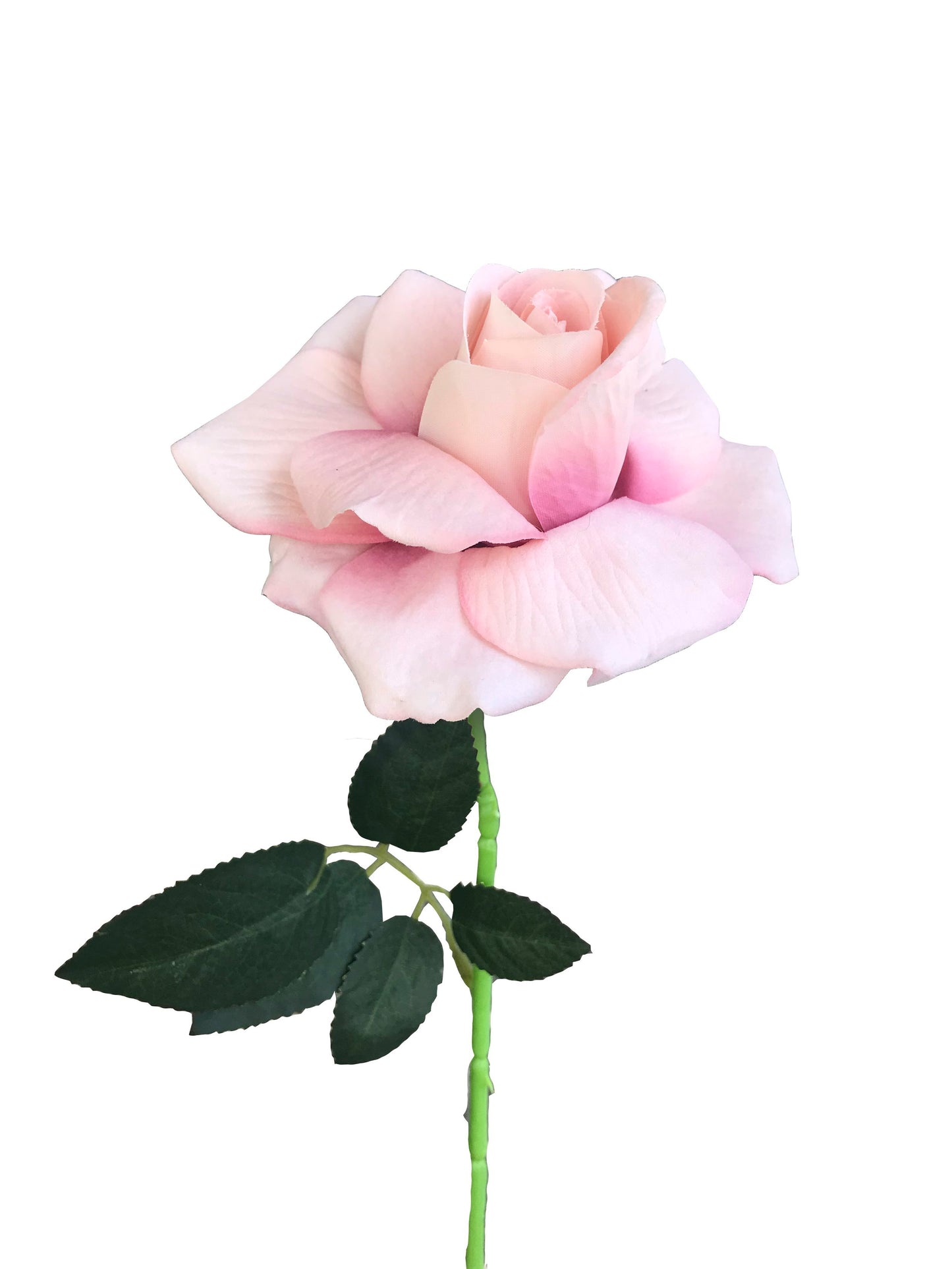 artificial rose peach, pink