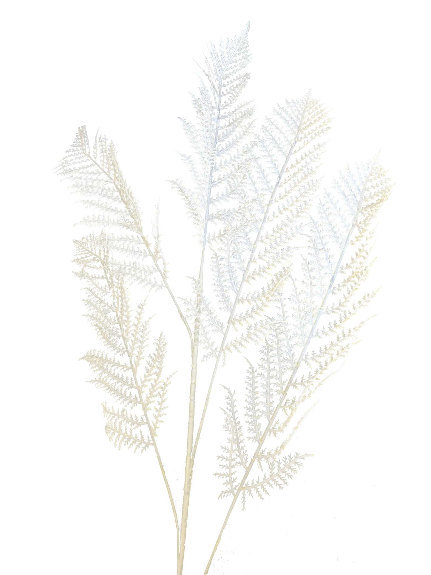 artificial fern cream