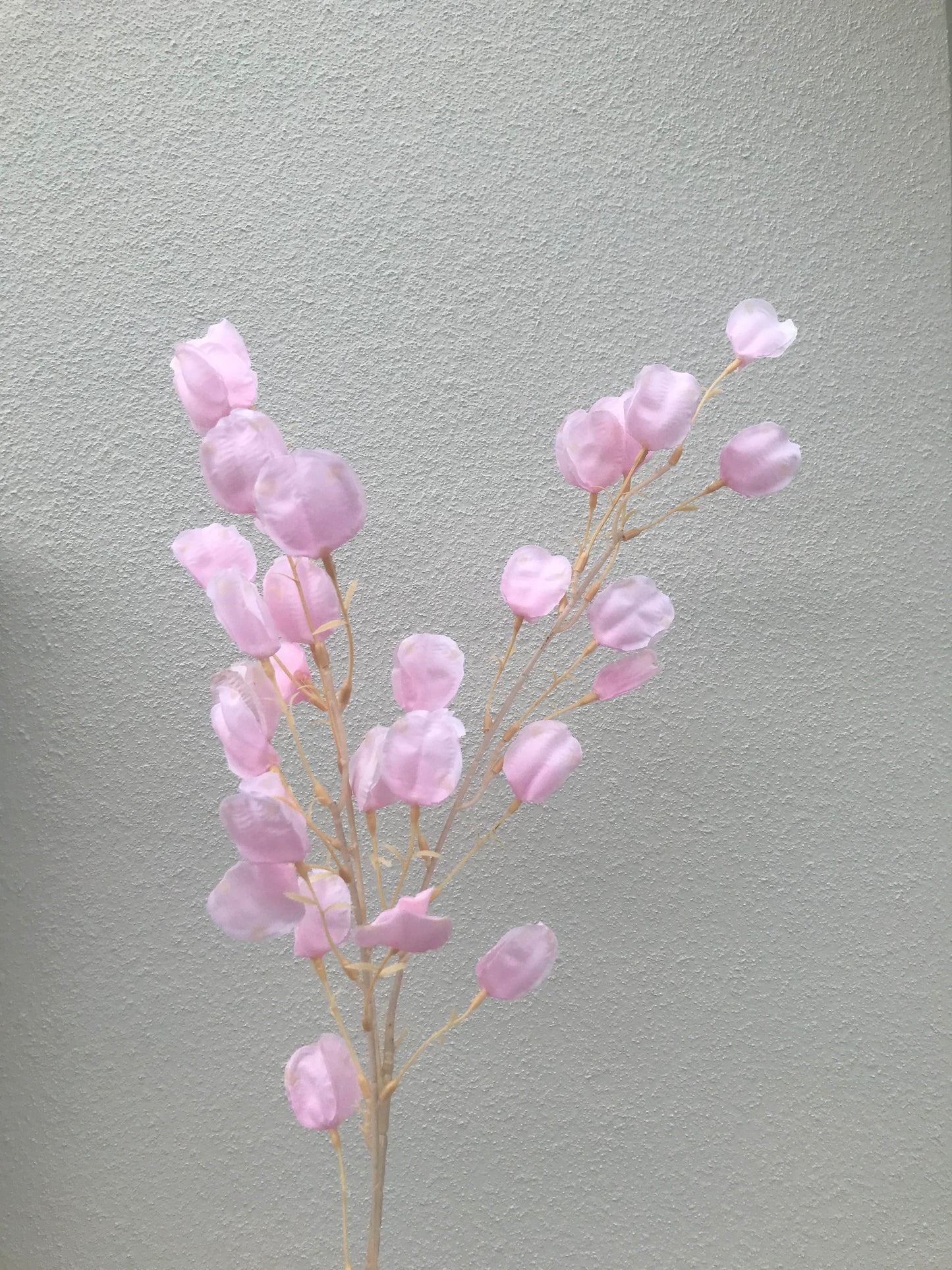 Linterna Flor-Rosa