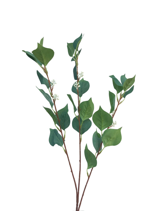 Feuillage-Vert
