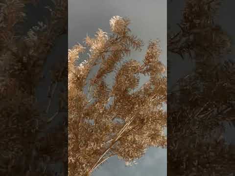 here is a brief video showing you what a artificial greenery gold foliage is