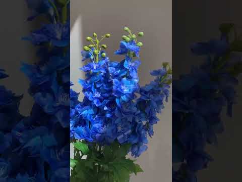 Here is a video showing what a delphinium blue now