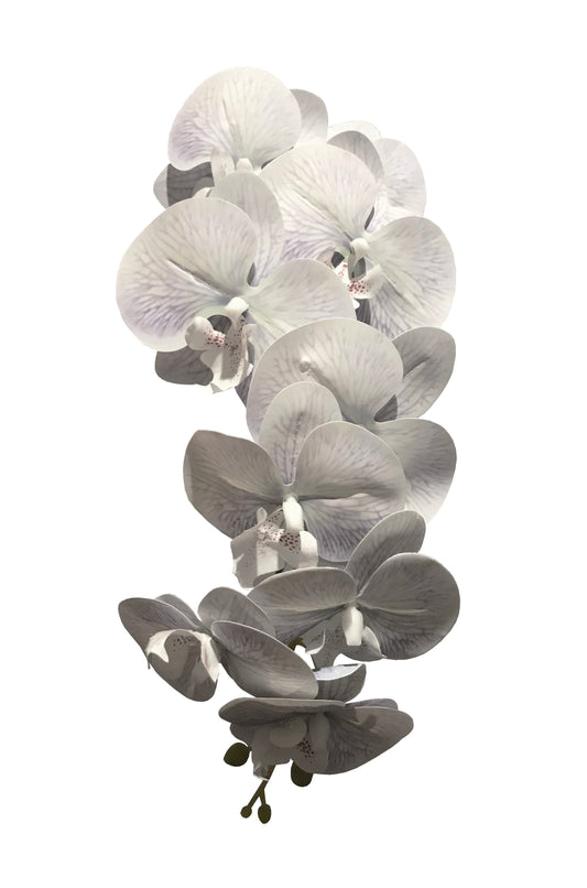 Orchidée Phalaenopsis Real Touch - Violet pâle