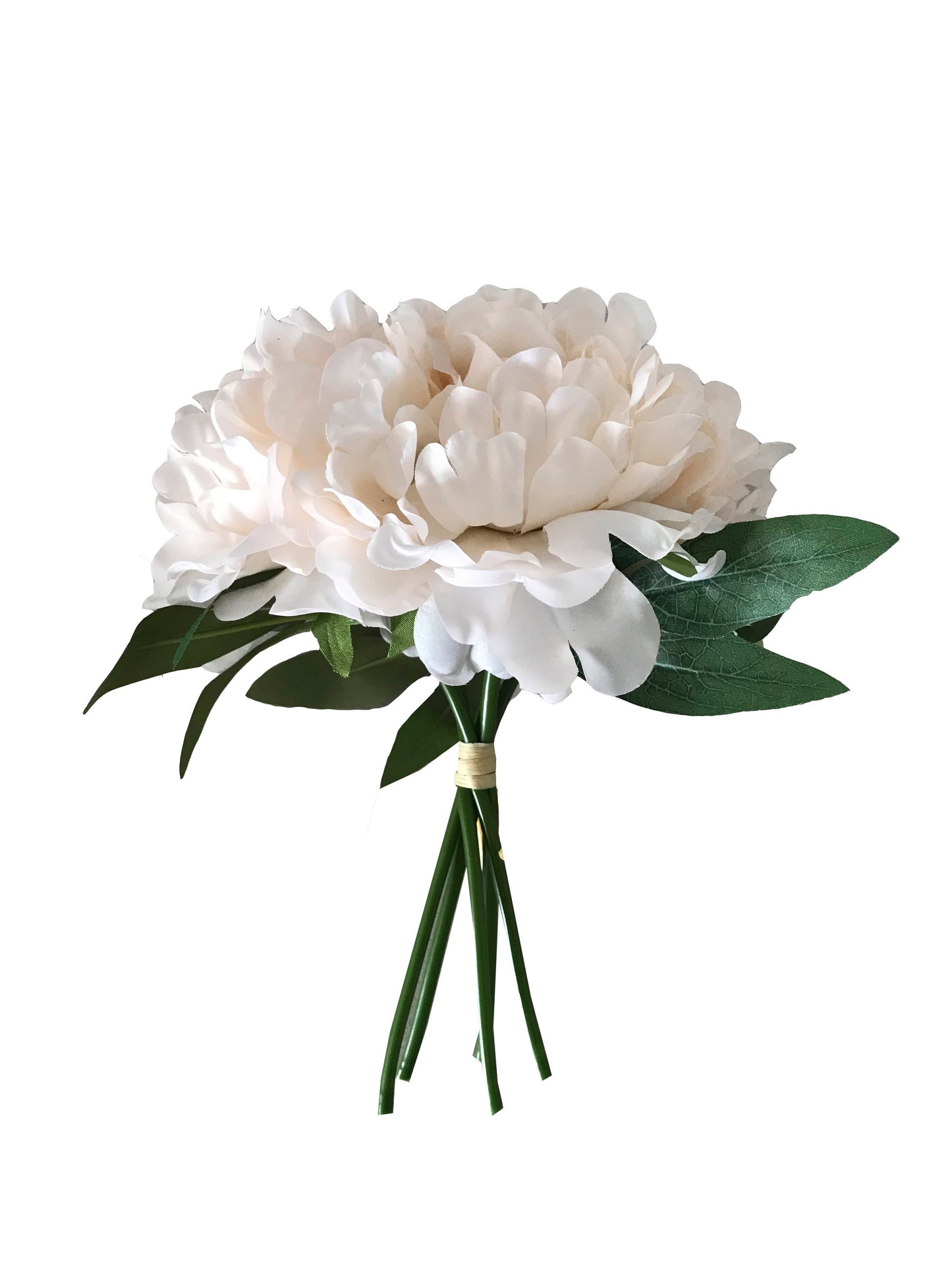 Peony Filler-Cream