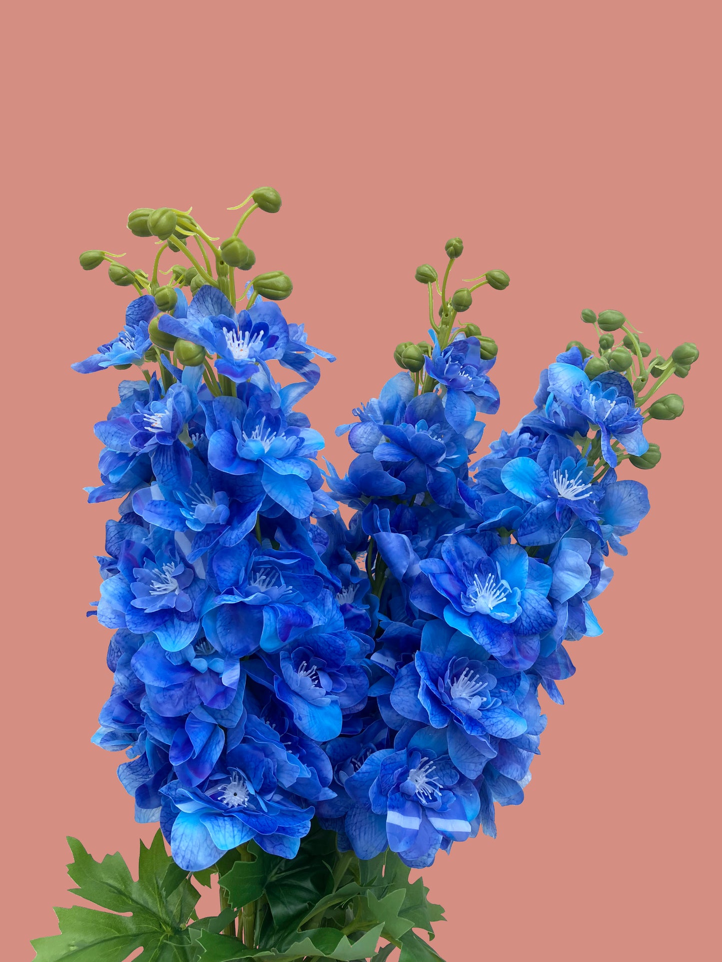 real close up of delphinium blue