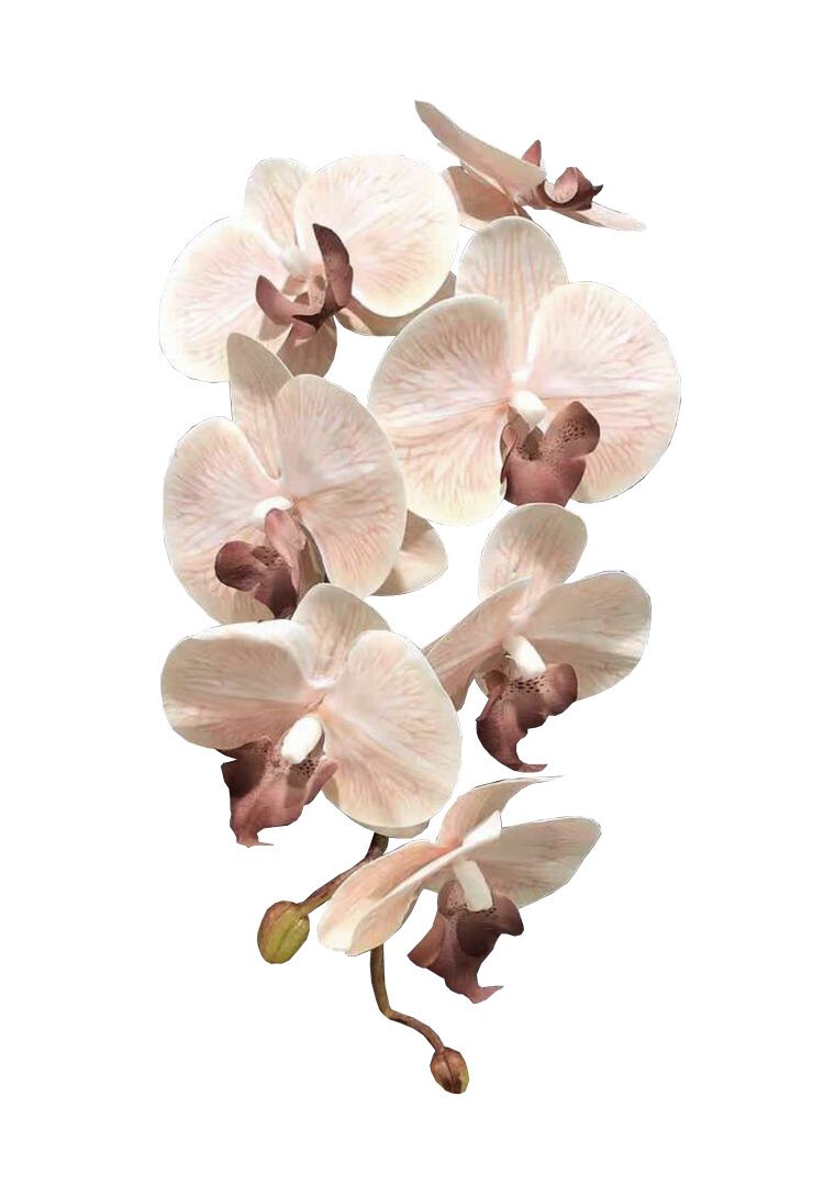 Artificial Phalaenopsis orchid Soft Peach Pink