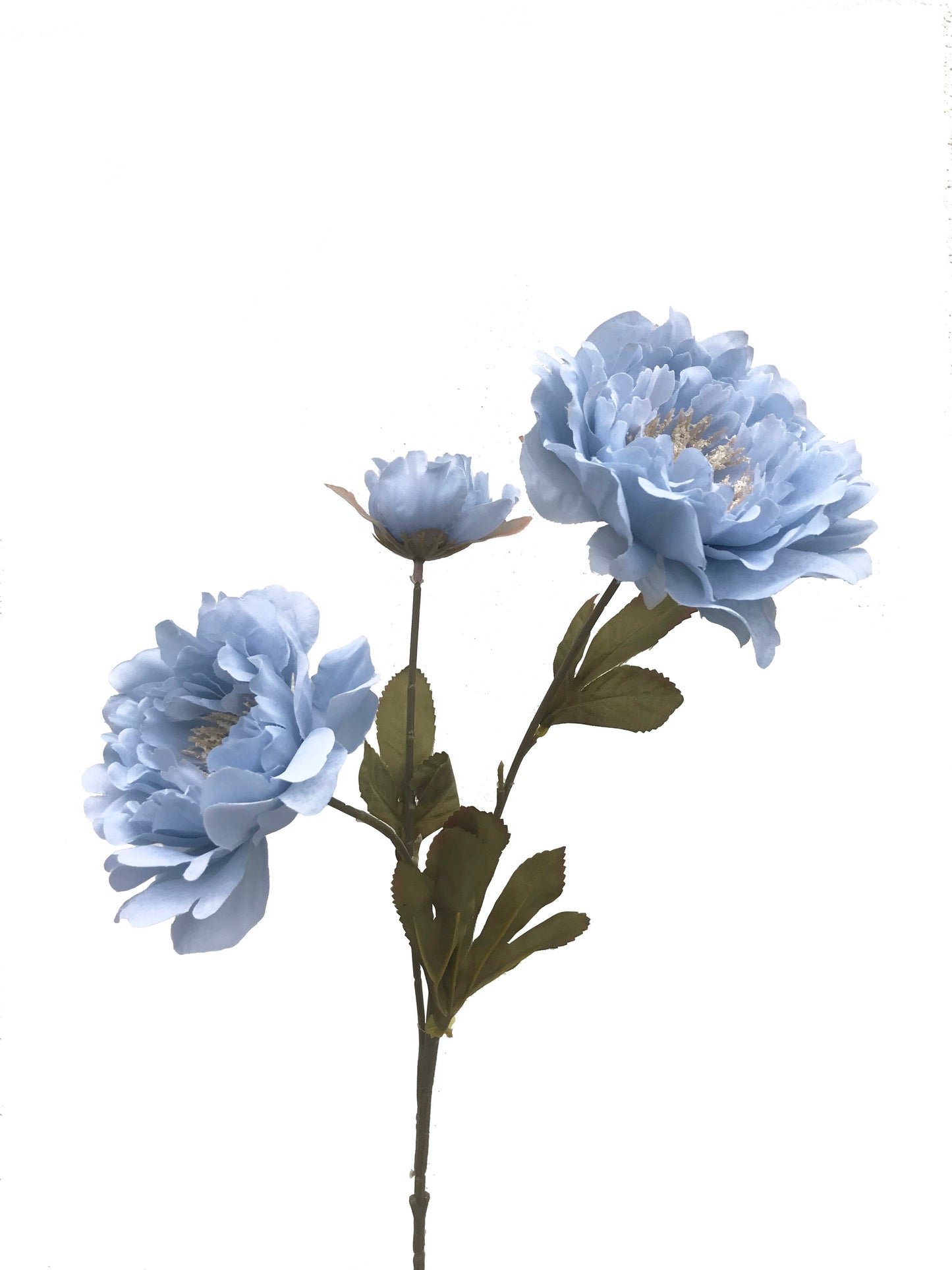 Peony Spray Large-Powder Blue