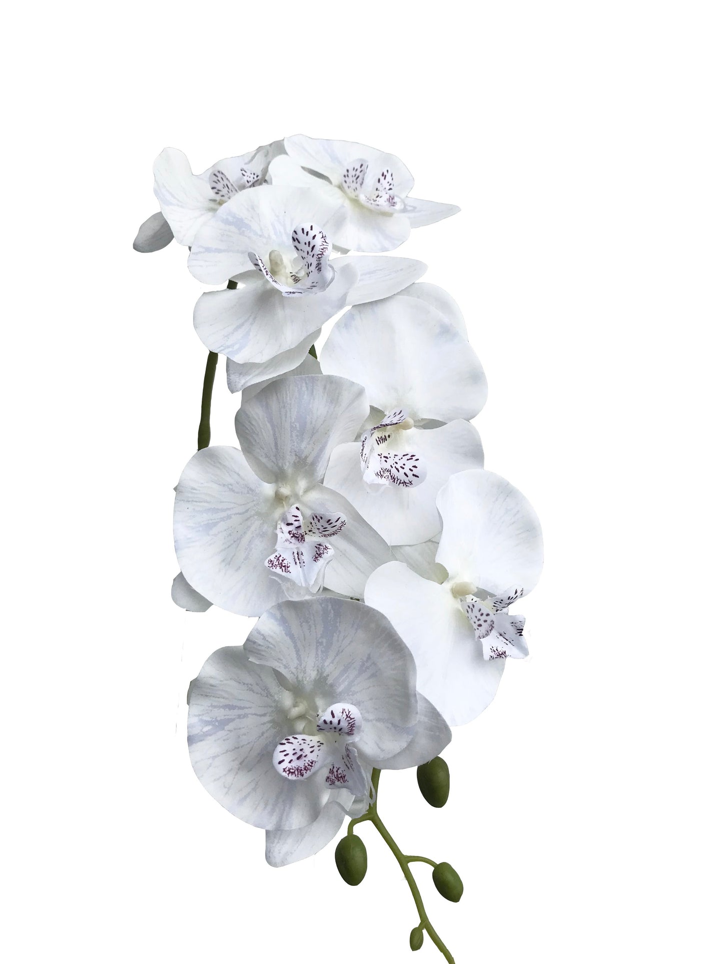 Artificial Silk Orchid White