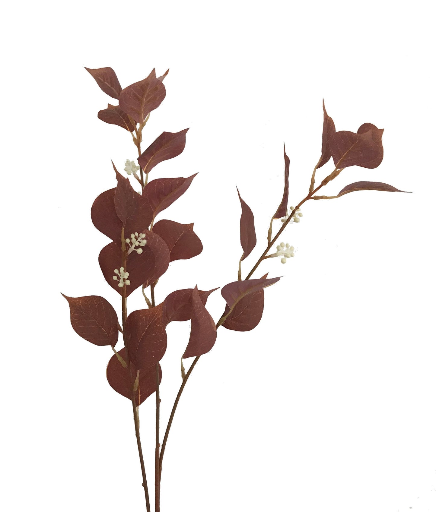 foliage brown