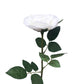     Artificial real touch Austin Rose White