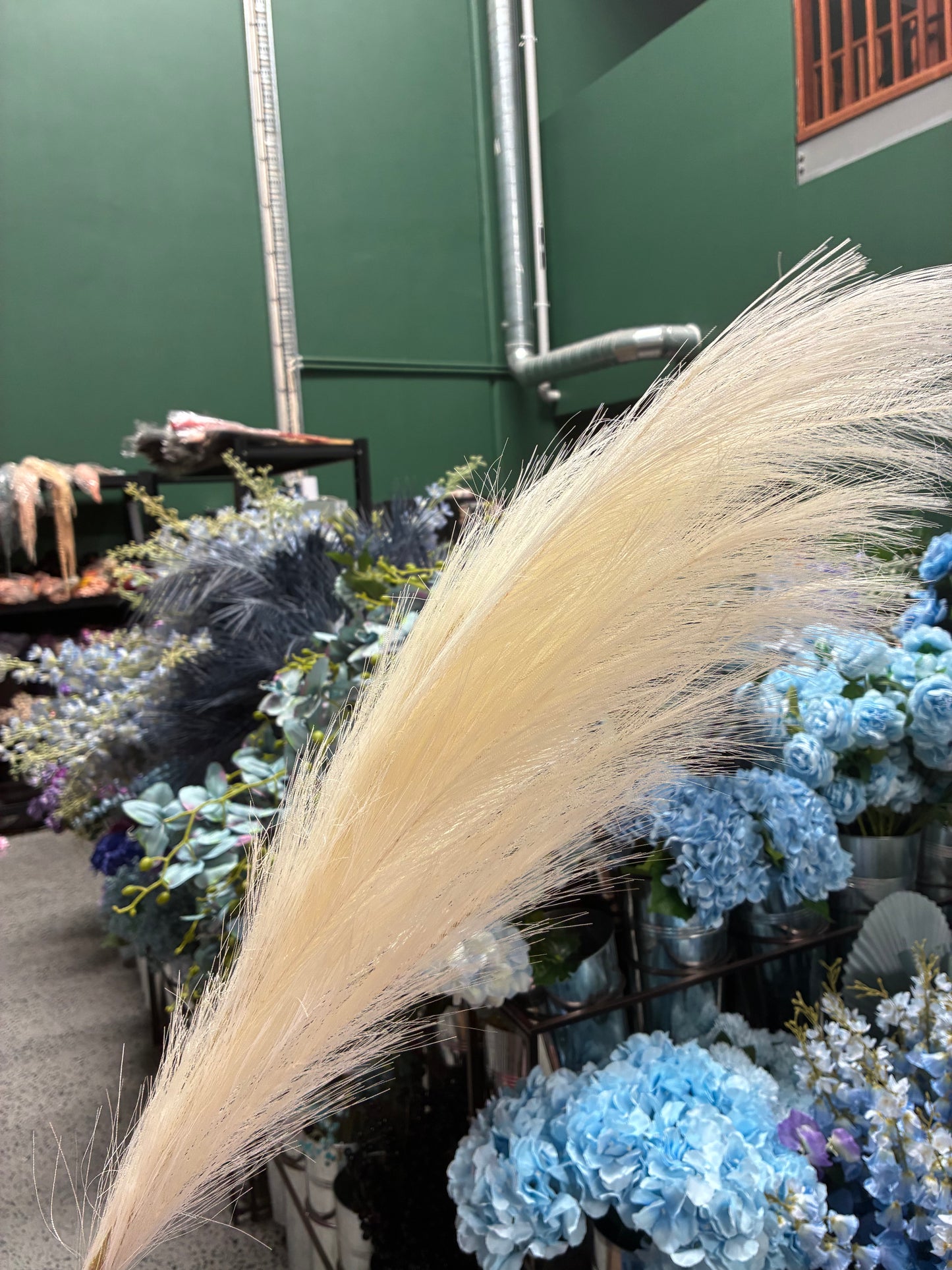 Pampas-Rose poussiéreux