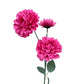 Artificial Pom Pom Dahlia Hot Pink