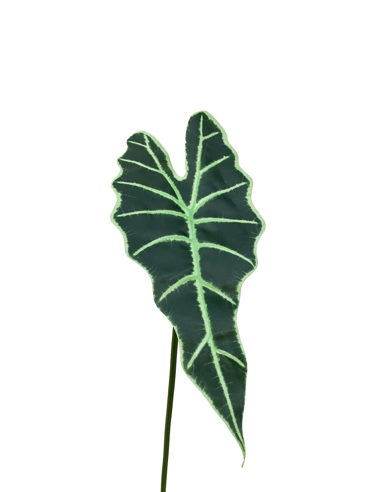 Artificial alocasia frydek leaf