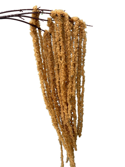 Artificial Amaranthus Toffee Brown