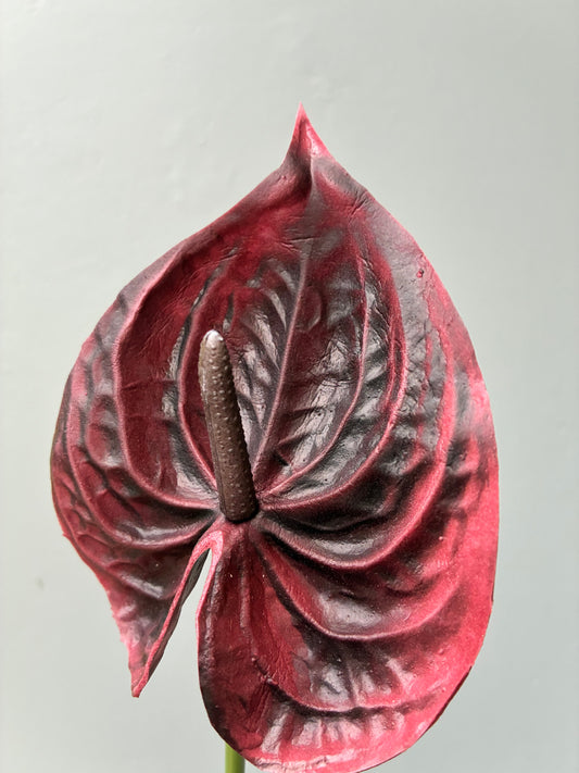 Artificial Anthurium Burgundy