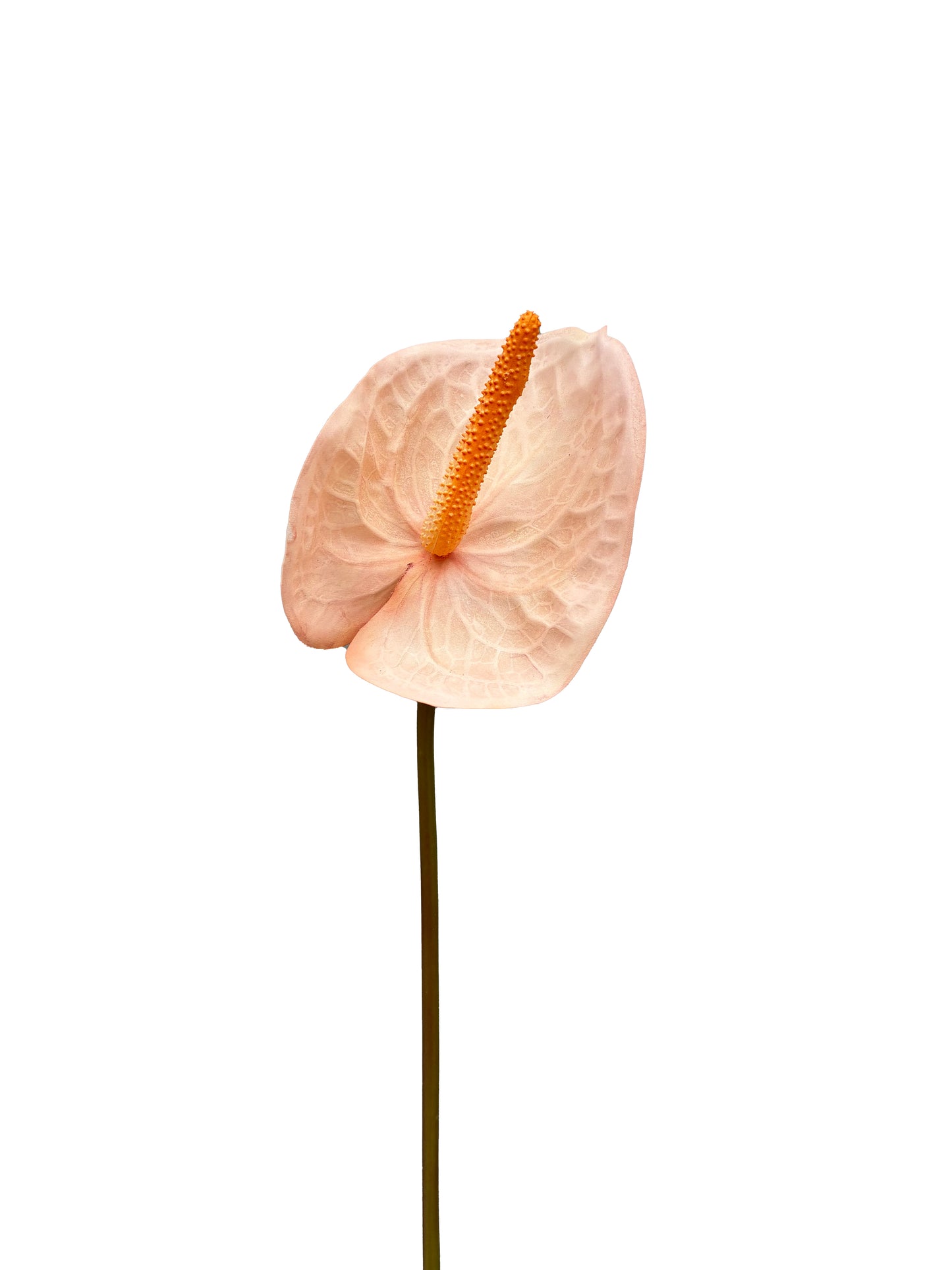 Anthurium artificiel blanc