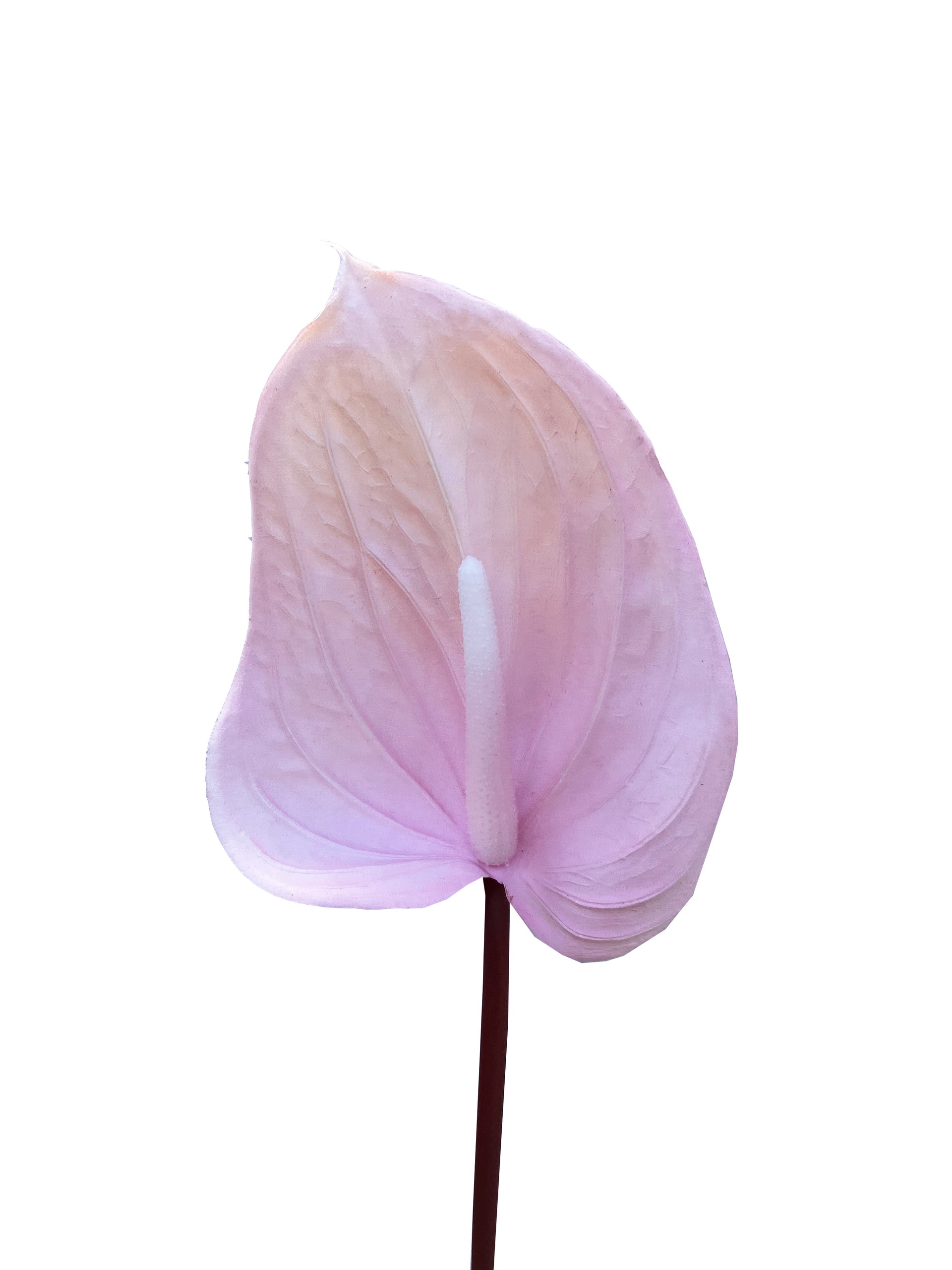 pale pink anthurium Real Touch Artificial Anthurium Pale Pink – Wild Blooms