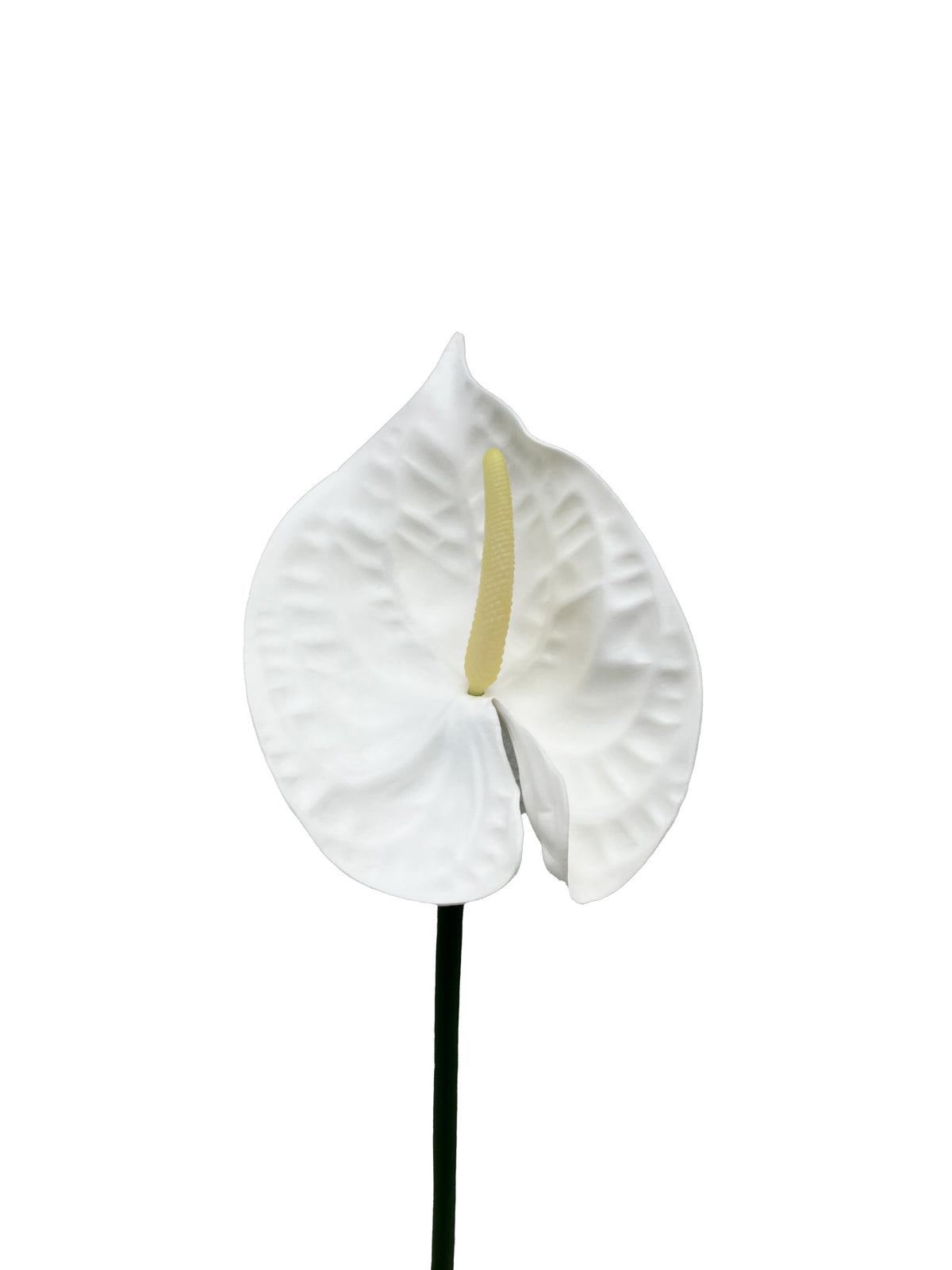 Artificial Anthurium White