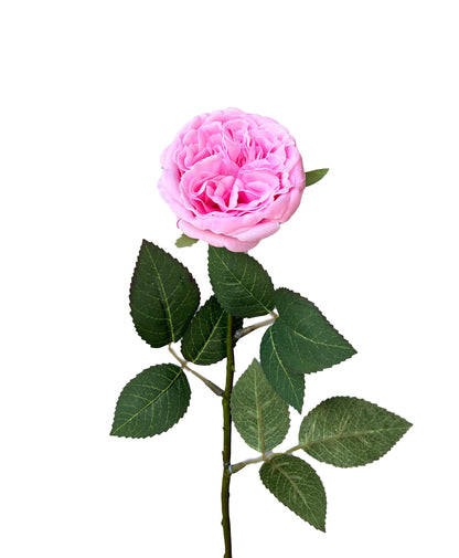 Real Touch David Austin Rose Candy Pink