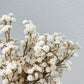 Artificial Baby's Breath Natural White