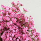 Artificial Baby's Breath Hot Pink