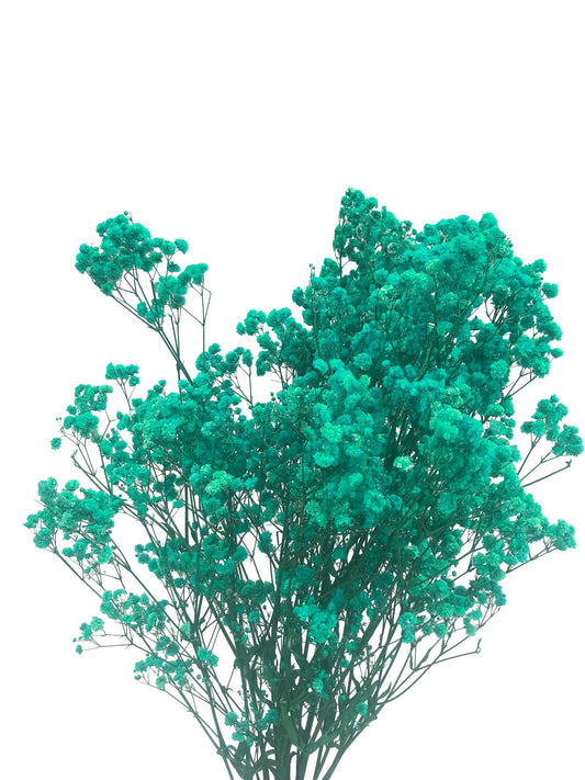 Dried Baby's Breath Teal