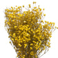     artificial babys breath yellow