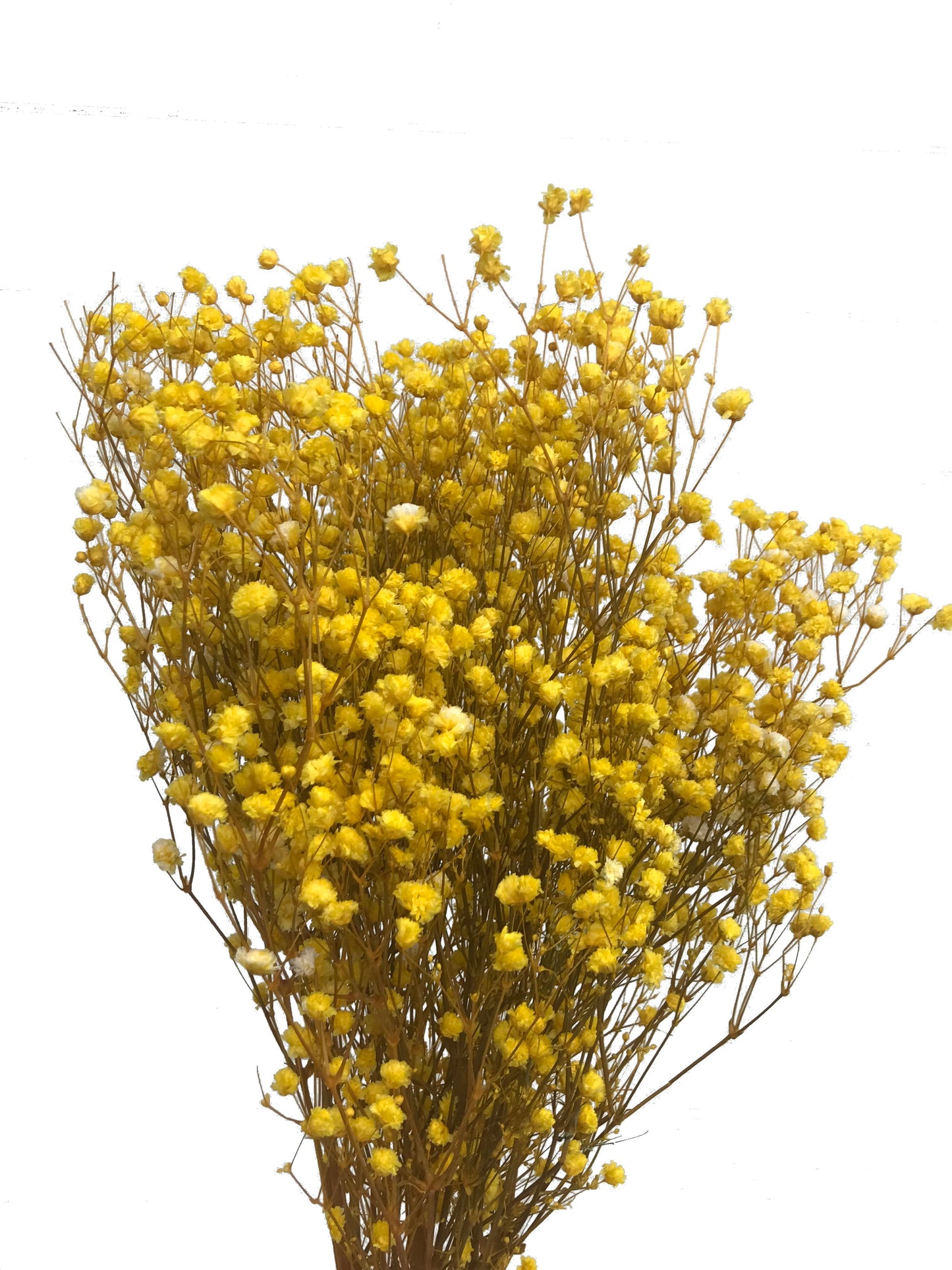     artificial babys breath yellow