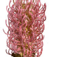 Artificial Banksia Pink