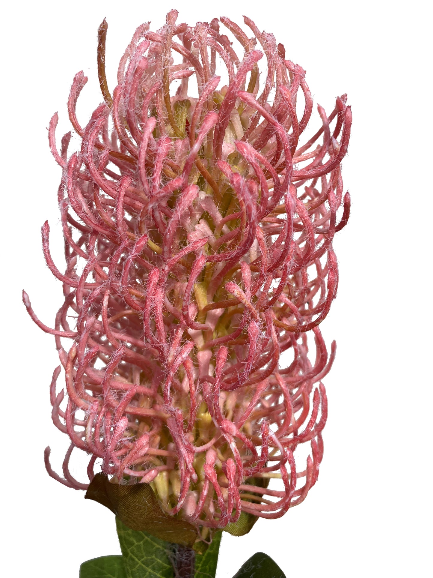 Artificial Banksia Pink