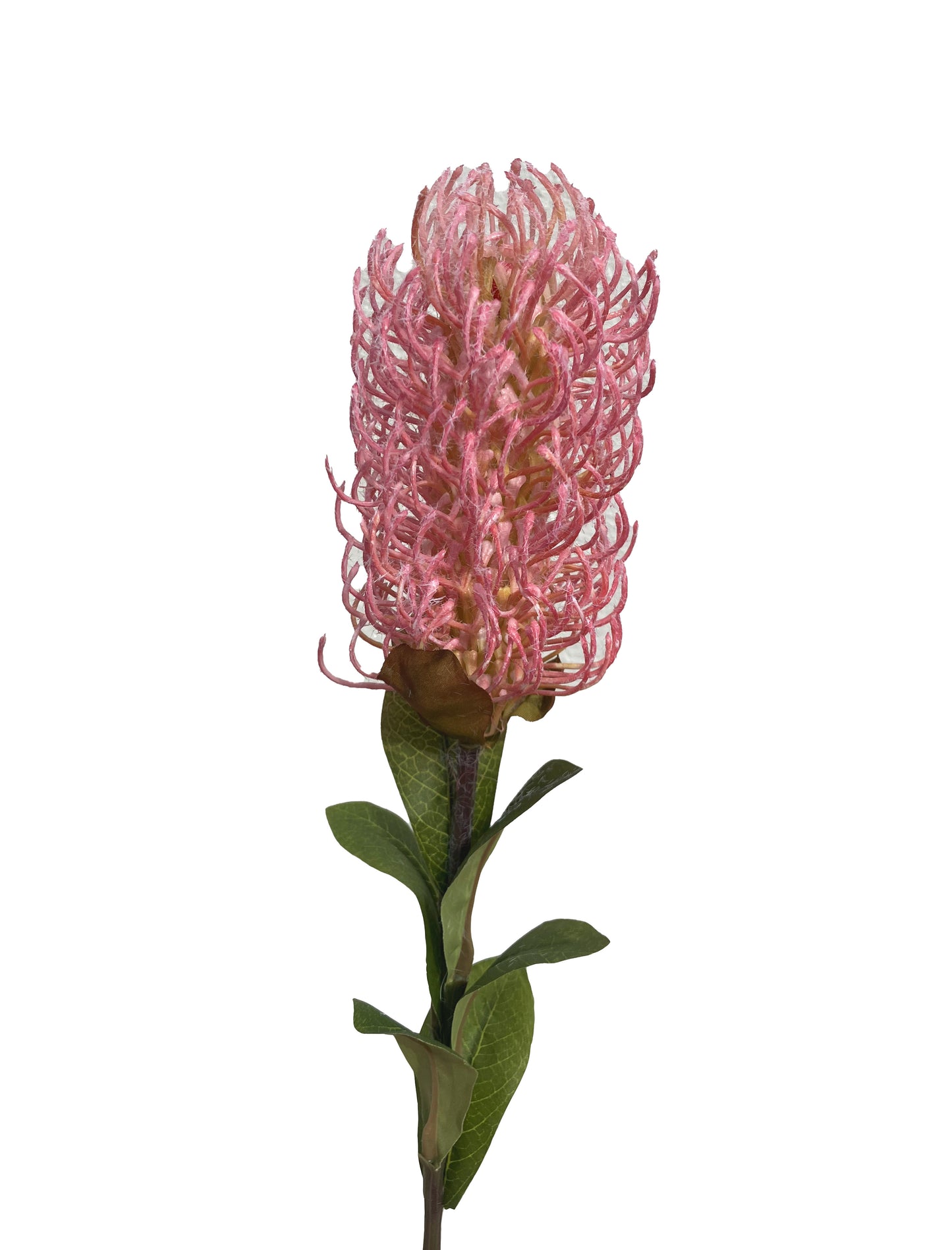 Artificial Banksia Pink