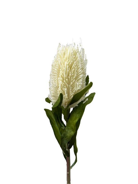 Artificial Banksia Ivory