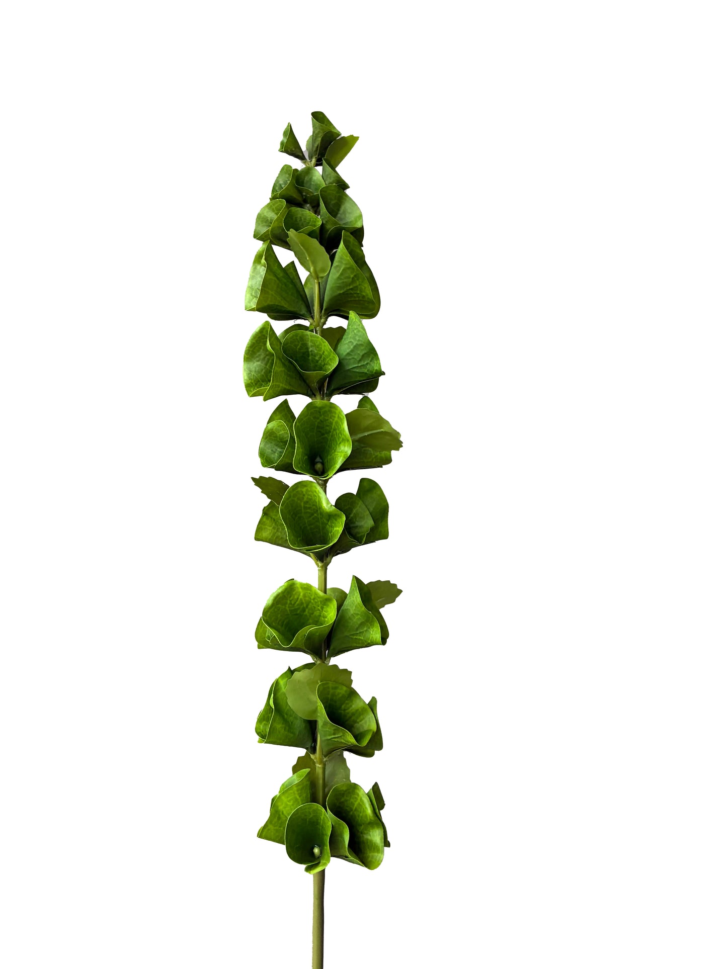 Artificial Bells Of Ireland Real Touch
