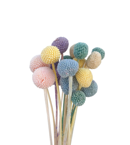       artificial billy button assorted dried flowers