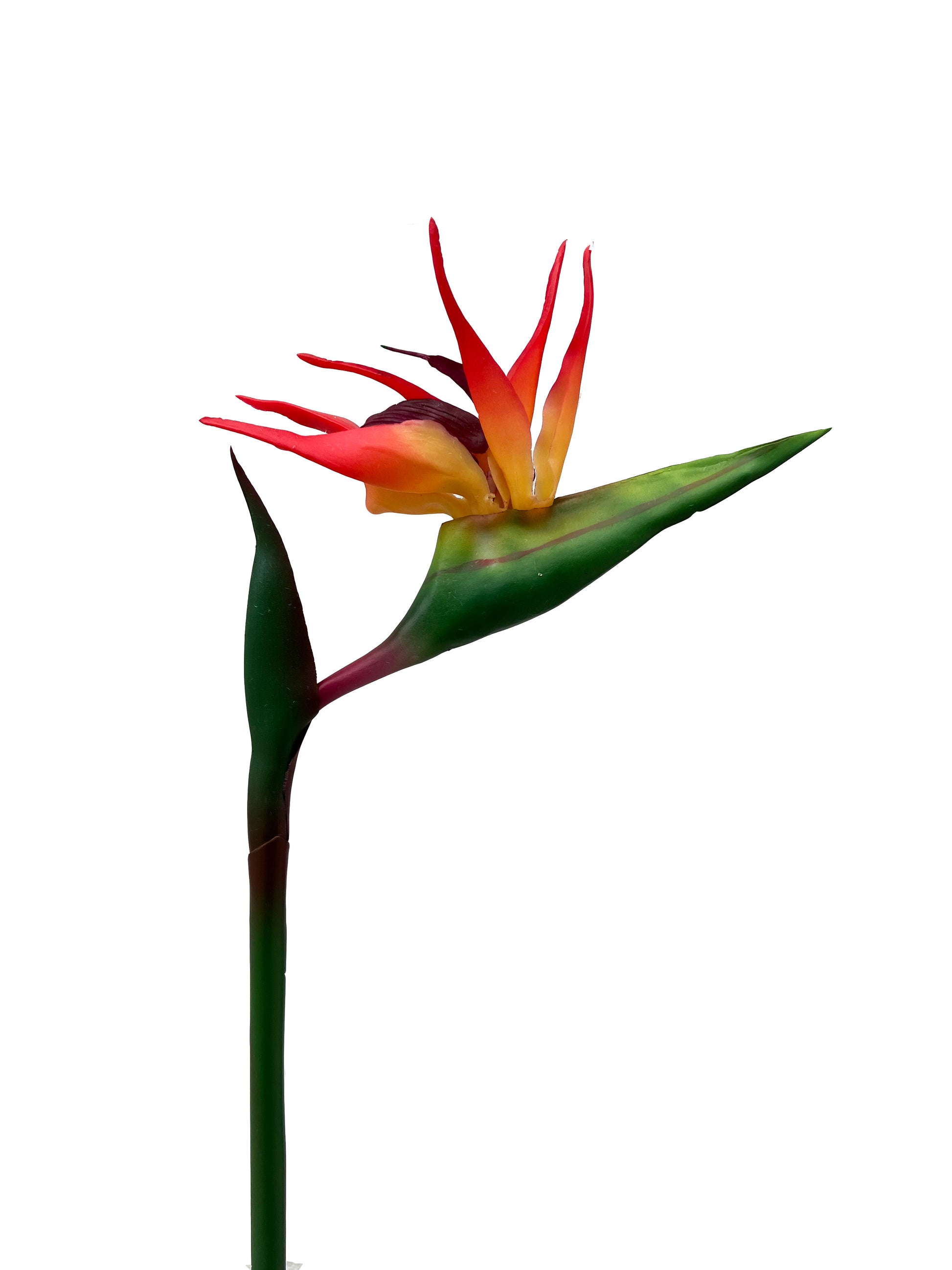 fake artificial bird of paradise