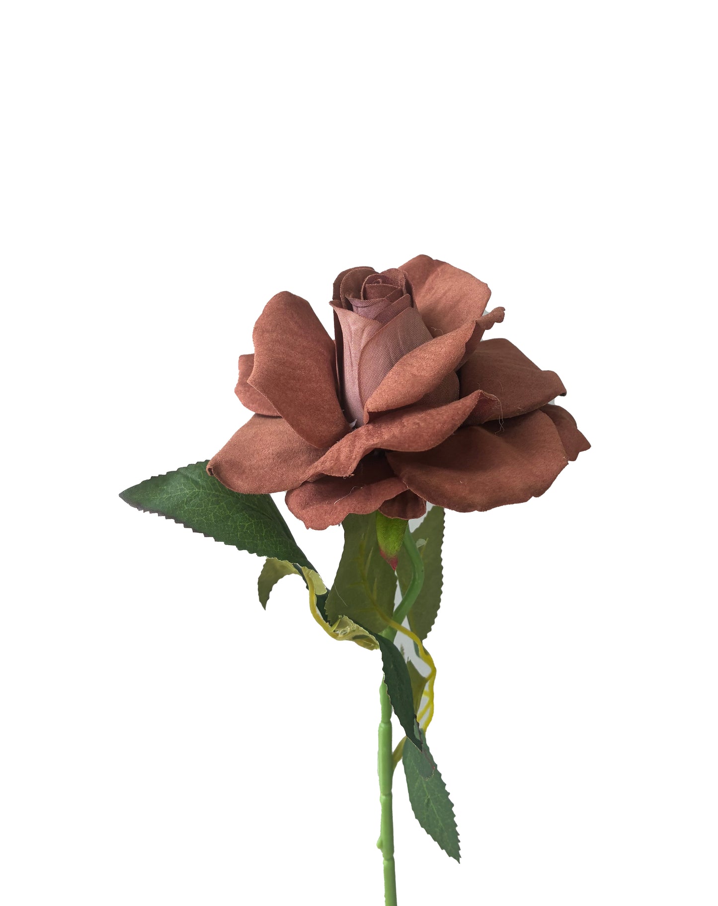 La clásica rosa artificial lila