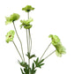 Artificial Cosmos Spray Green