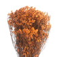      artificial crystal grass orange