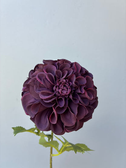Vin de Dahlia Artificiel