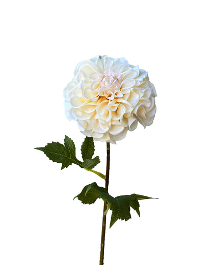 Artificial Real Touch Dahlia Cream