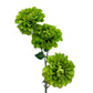 Artificial Pom Pom Dahlia Green